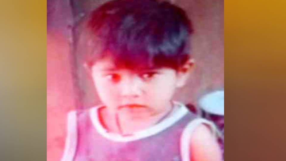 monkeys threw brick on girl who sleeping on roof In Etah due to which she died