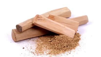 Sandalwood cultivation in Uttarakhand will strengthen the economic condition of farmers
