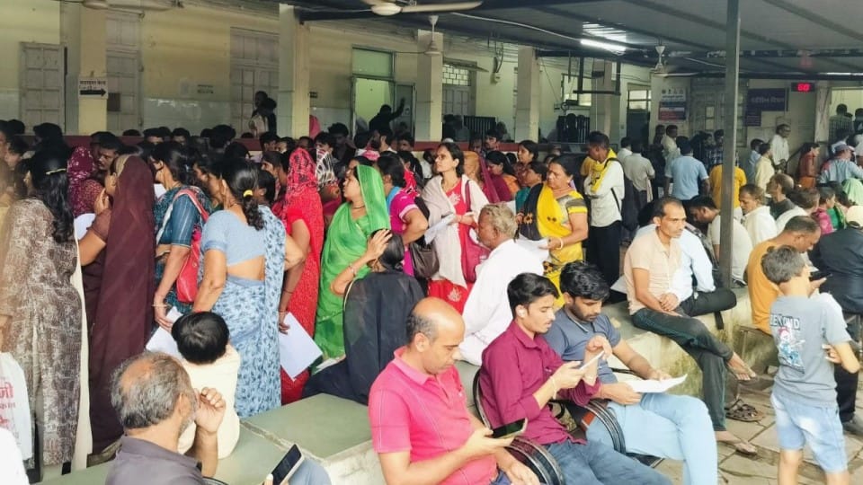 corona dengue indore news update