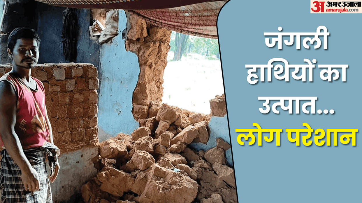 Wild elephants attack houses in Jashpur and three dead in a week