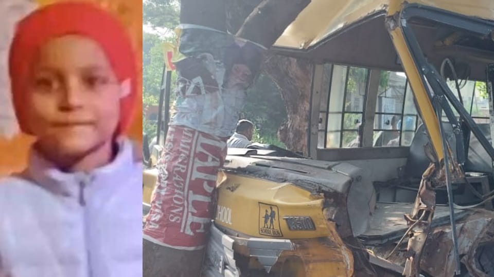 Accident in Jagraon School van carrying children collided with a tree one child died