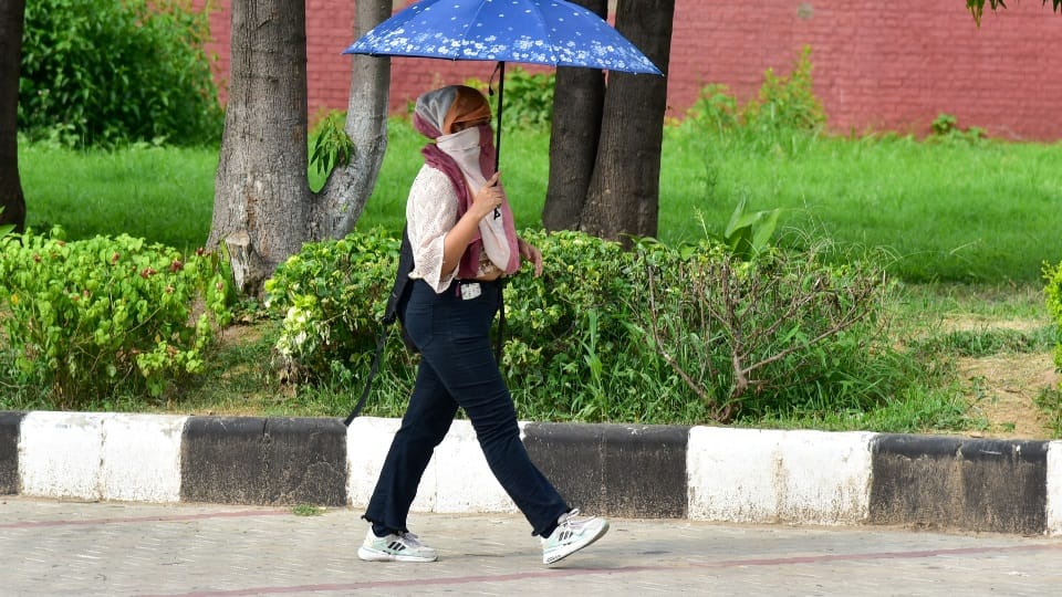 Monsoon delayed in chandigarh