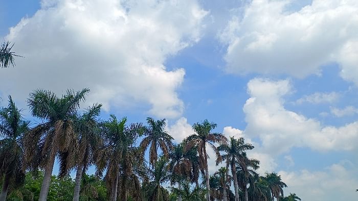 Monsoon likely to reach Kerala in 4-5 days IMD Predict Know all about it