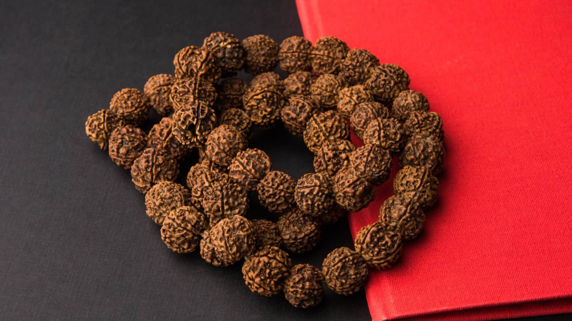 Rudraksh mala pehne ke niyam in hindi rudraksha kab aur kaise dharan kare