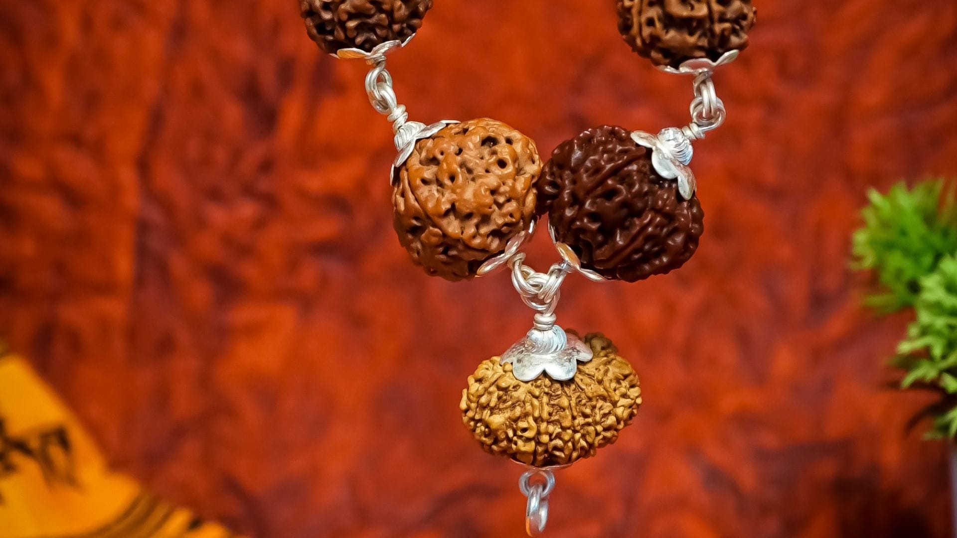 Maha Shivratri 2026 Try These 5 Rudraksha Remedies for Lord Shiva’s Blessings