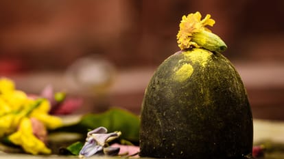sawan shivling pooja vidhi at home ghar par kaise karen shivling ki pooja in hindi