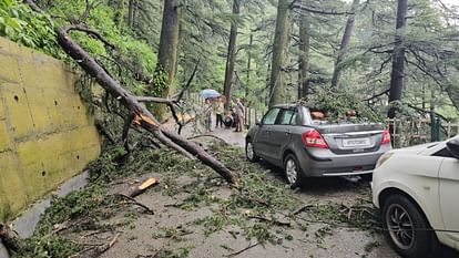 Himachal Weather: Heavy rain in many parts amid alert, one day holiday in Karsog, know imd forecast