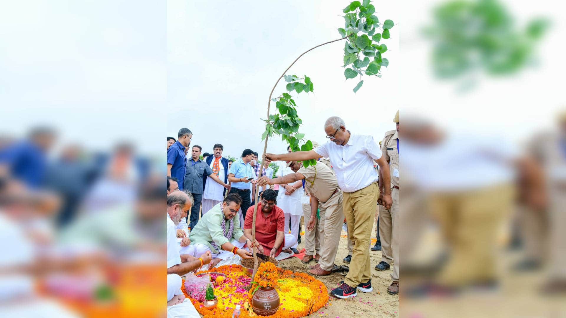 Rajasthan 75th state level forest festival in pictures 50 crore trees will be planted in next five years