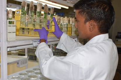 Now IIVR will offer graduation along with research admission in this subject