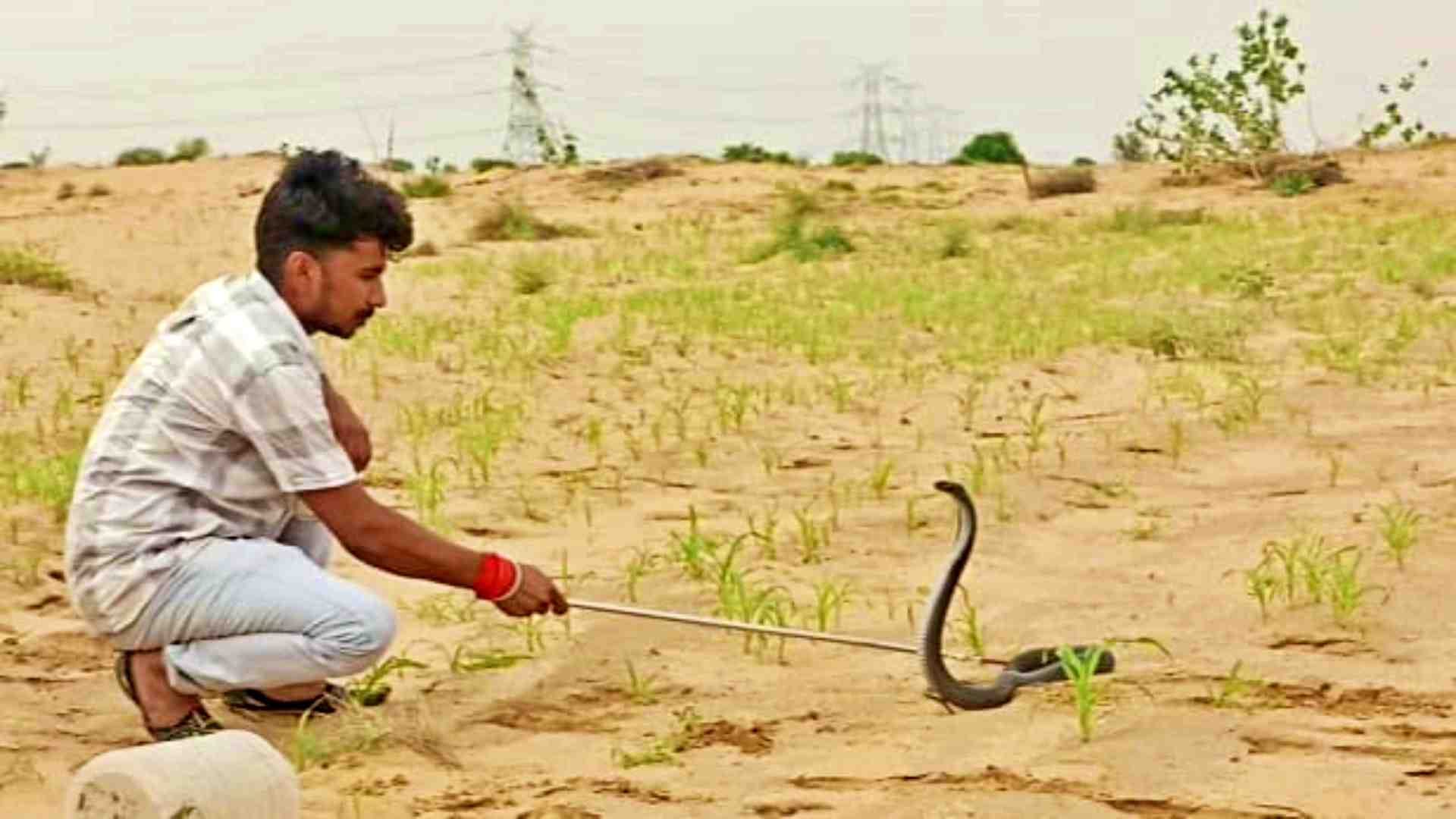 गोविंदसर के श्याम स्नेक मैन।
