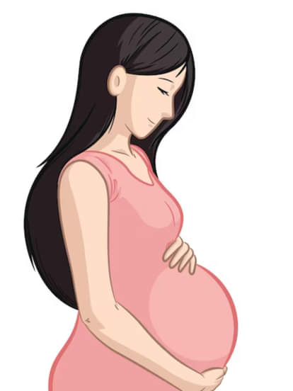 Government has introduced 'Maa Voucher' scheme for pregnant women