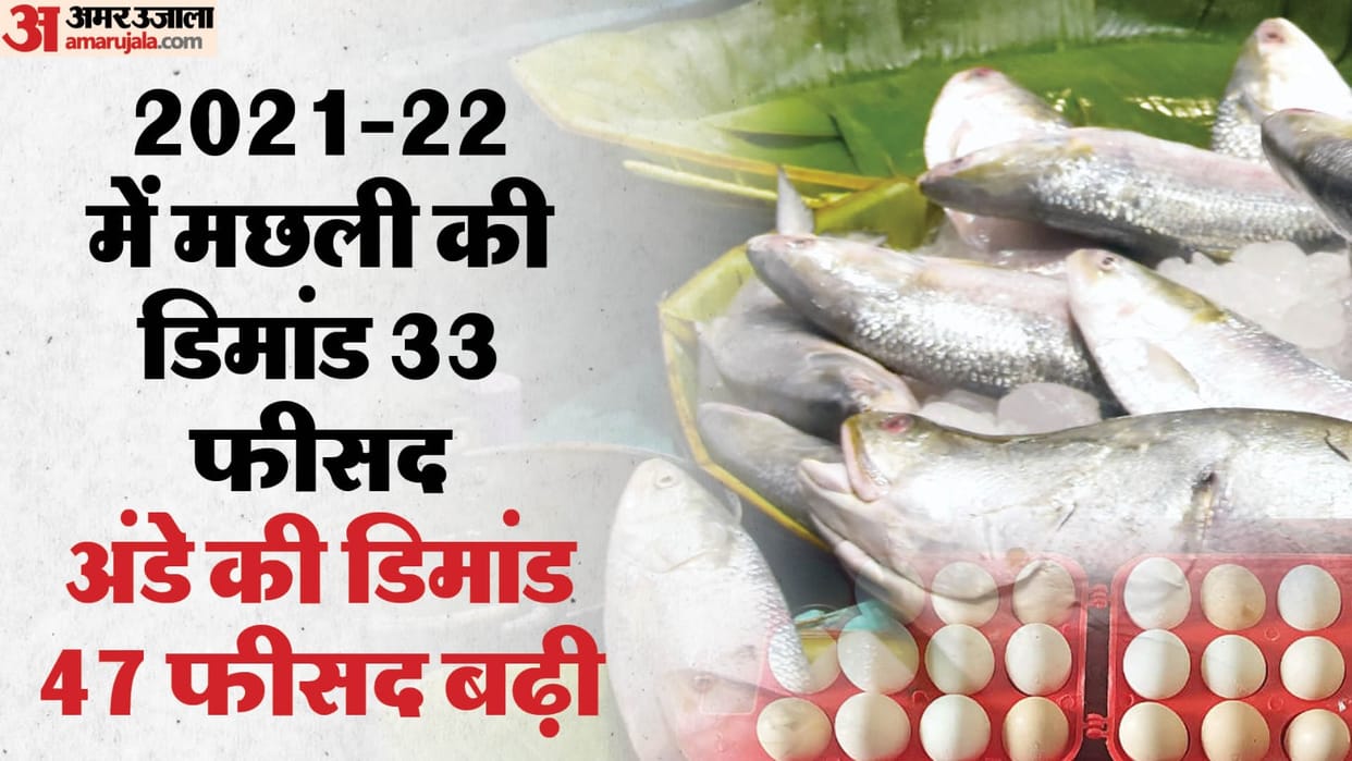 demand for fish increased by 33 percent and the demand for eggs increased by 47 percent In 2021-22