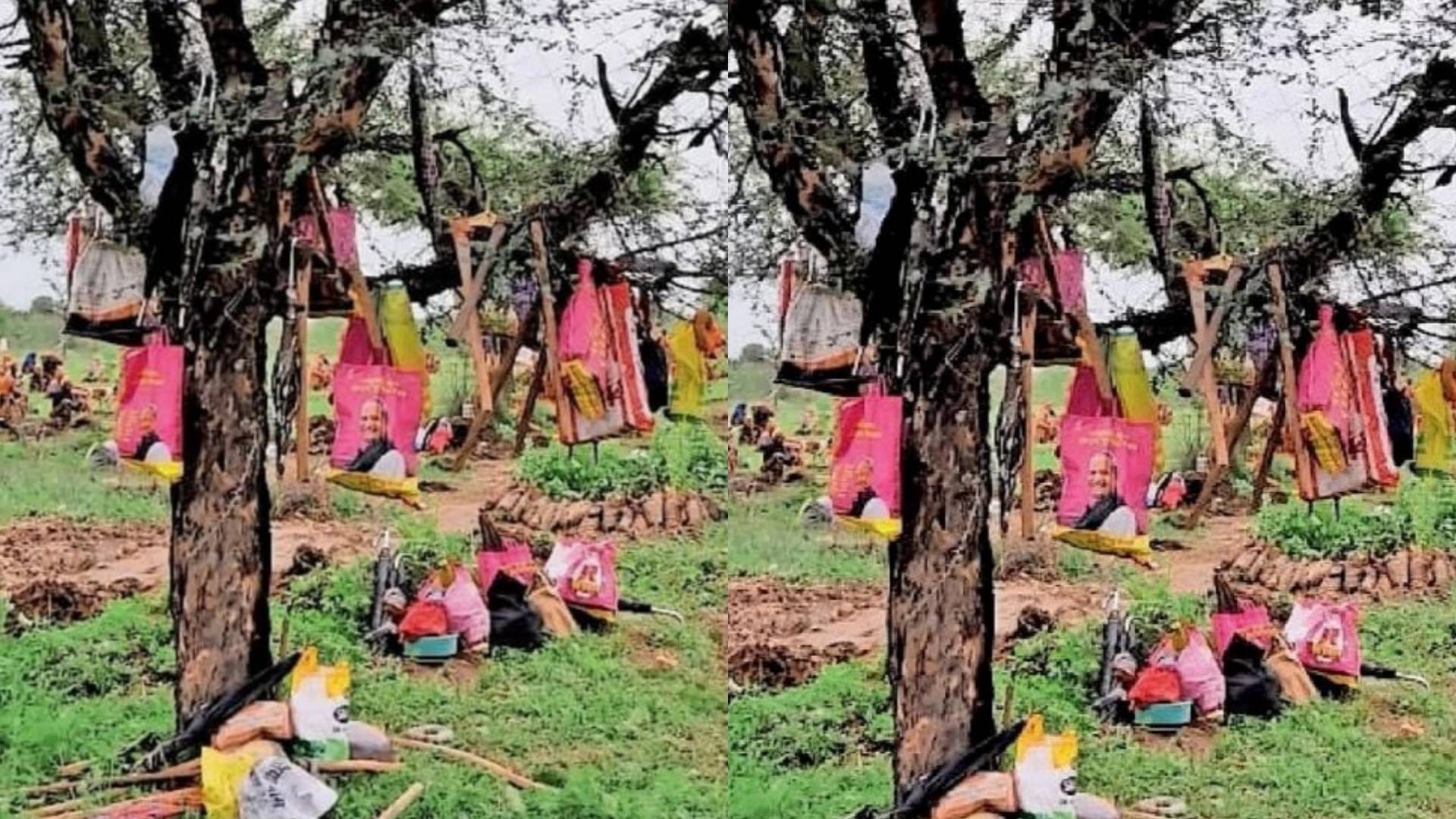 वृक्षारोपण