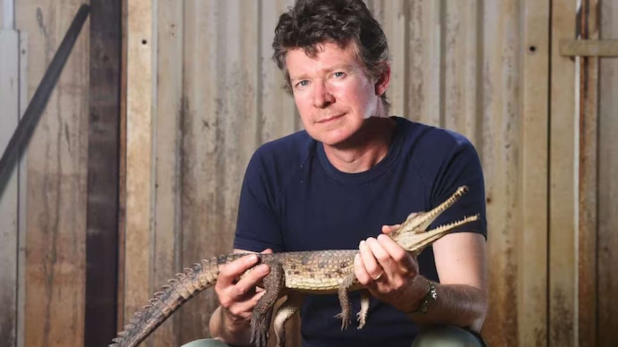 Crocodile expert Adam Britton faces 56 charges including exploitation of dogs court gives harsh punishment