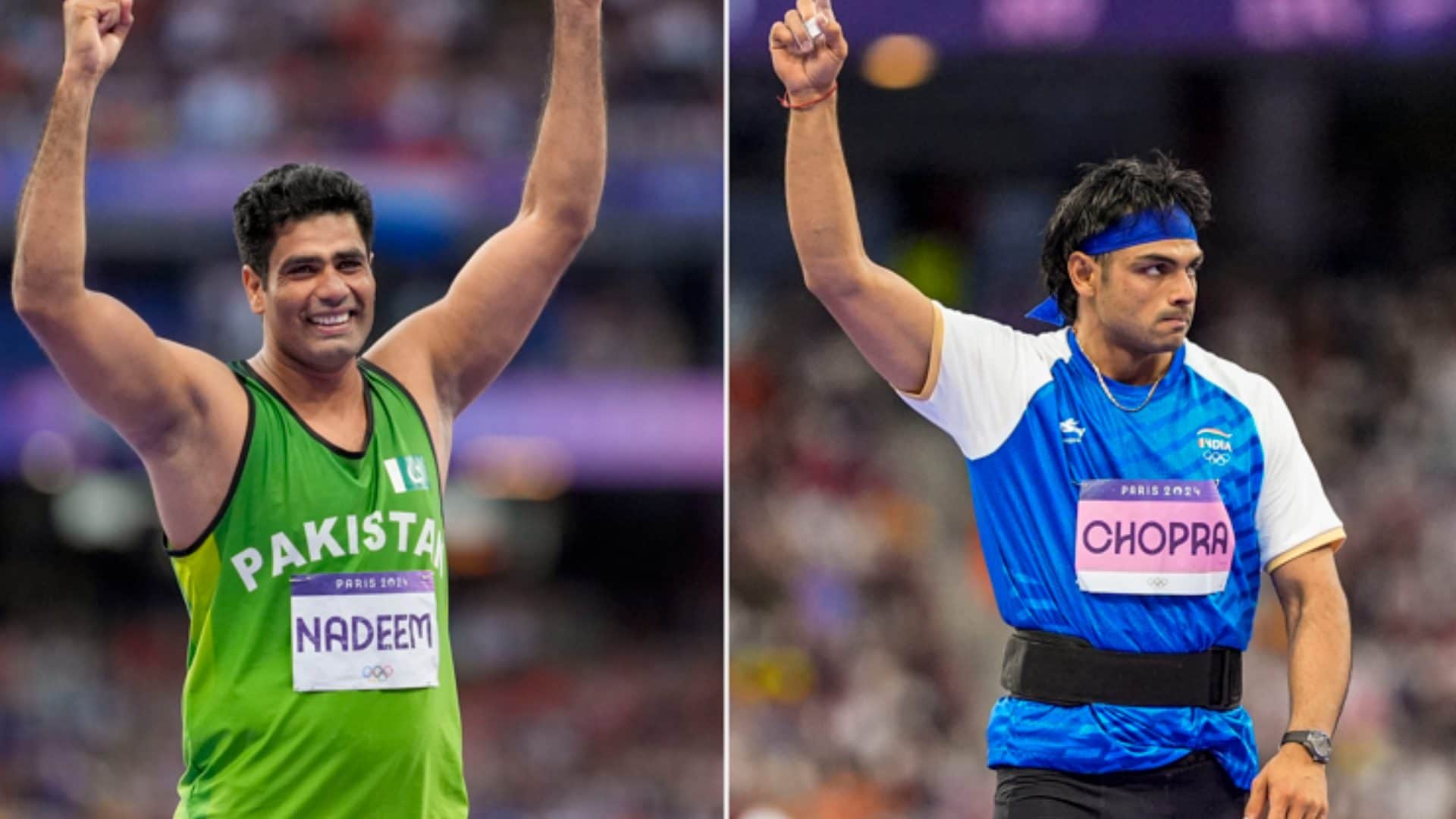 Arshad Nadeem gold medalist in javelin throw, got buffalo in gift from his in-laws Paris Olympics