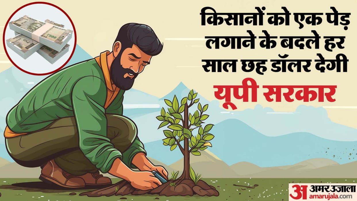 Carbon Finance UP Govt gives six dollars to farmers for plants