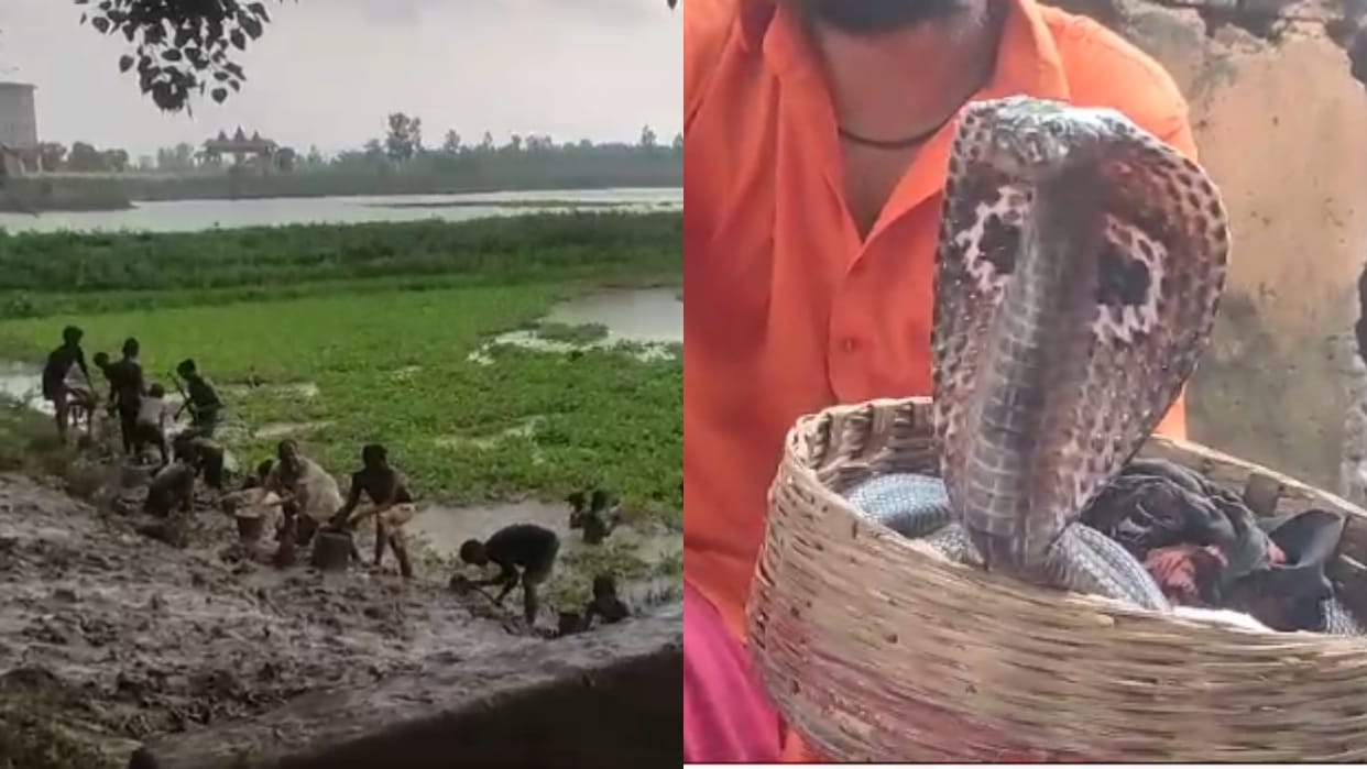 Snakes do not come to the place where the soil of Devkali is kept