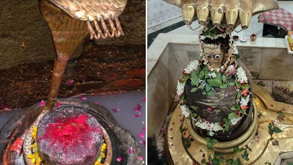 Nagpanchami seven snakes seen in Kashi the serpent god is worshipped