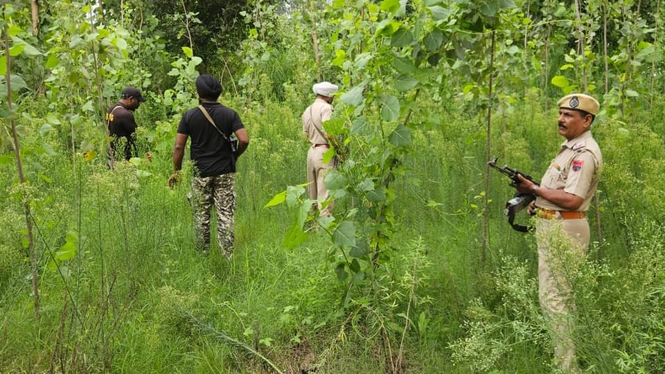 A suspect has been seen again in border area of Pathankot