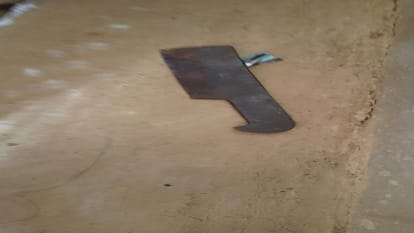 Meerut: Younger brother killed sleeping elder brother with meat cutting weapon