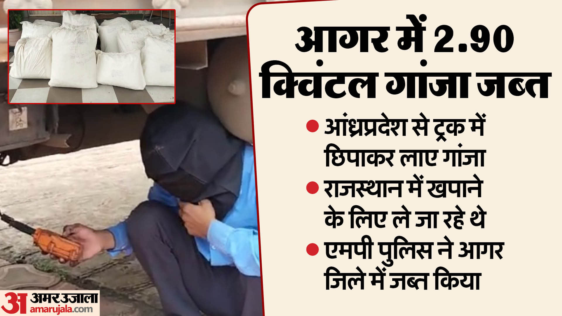 पुलिस ने जब्त किया 1.96 करोड़ का गांजा।