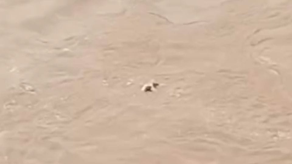 Dead body seen landing in Mini Niagara Jagdalpur