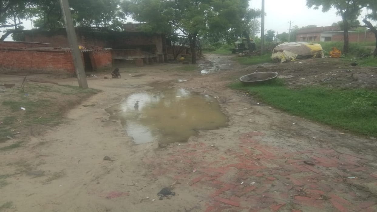 Jaundice wreaked havoc after diarrhea in Uttaraon area, student died, chaos in the family.