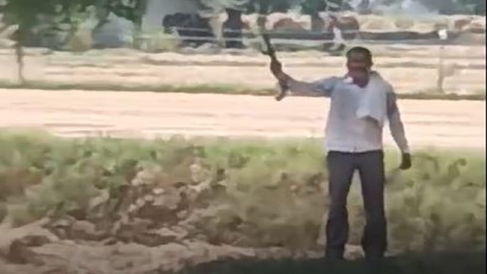 Bullied when driving away animals from the field came waving a gun in his hand
