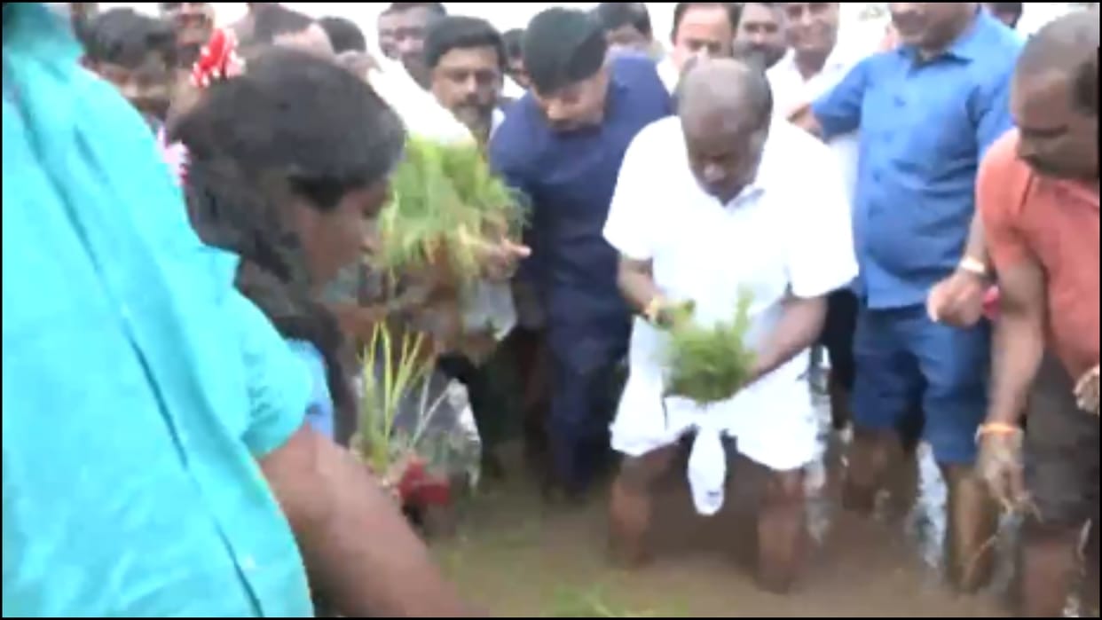 Union Minister HD Kumaraswamy joins others in planting seedlings at a paddy field in Karnataka news in hindi
