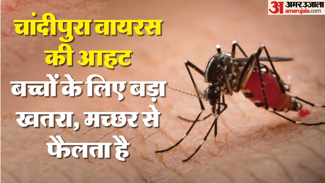 indore news chandipura virus case