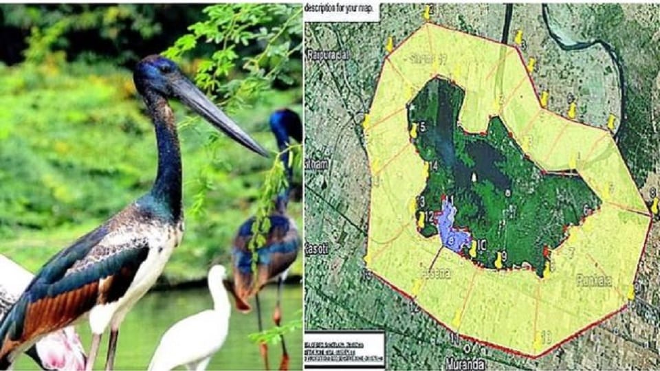 Sur Sarovar Bird Sanctuary: District administration SDM protest against CEC recommendations