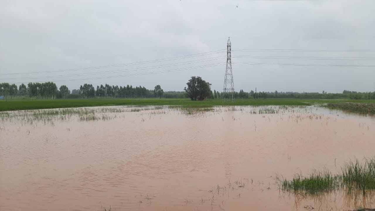 Rain havoc in Haryana, Nakati in spate and Som river embankment cracked, water entered houses in Hisar