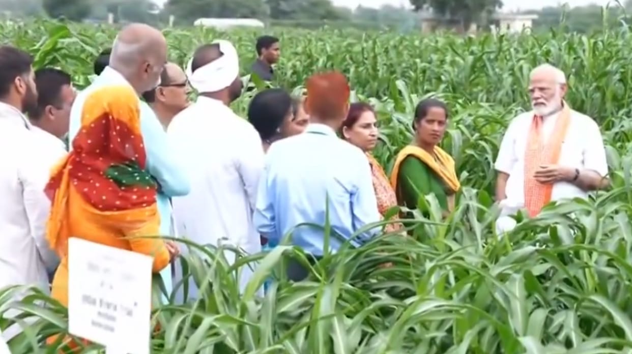PM Modi Launched 109 high-yielding Climate Resilient Seed Know All Details Here