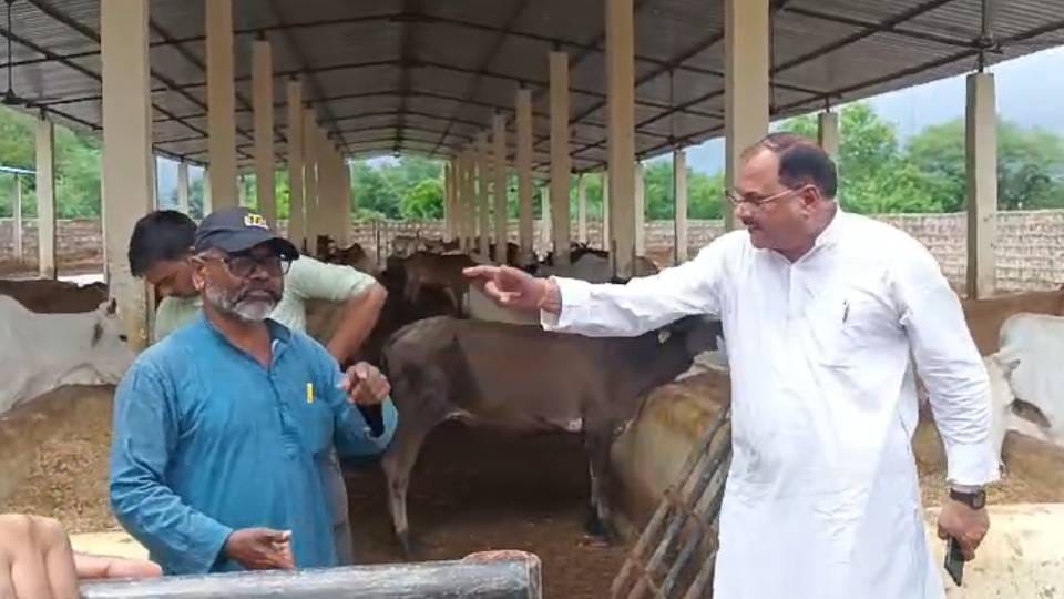 heated argument between the councillor husband and goshala director due to Two cows died in Gaushala in Agra