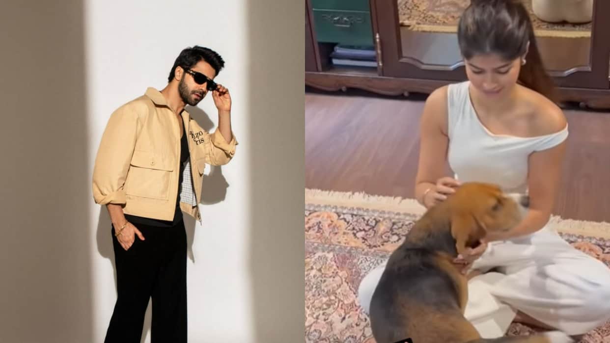 Varun Dhawan niece Anjini Dhawan was seen playing with Joey actor shared a cute video