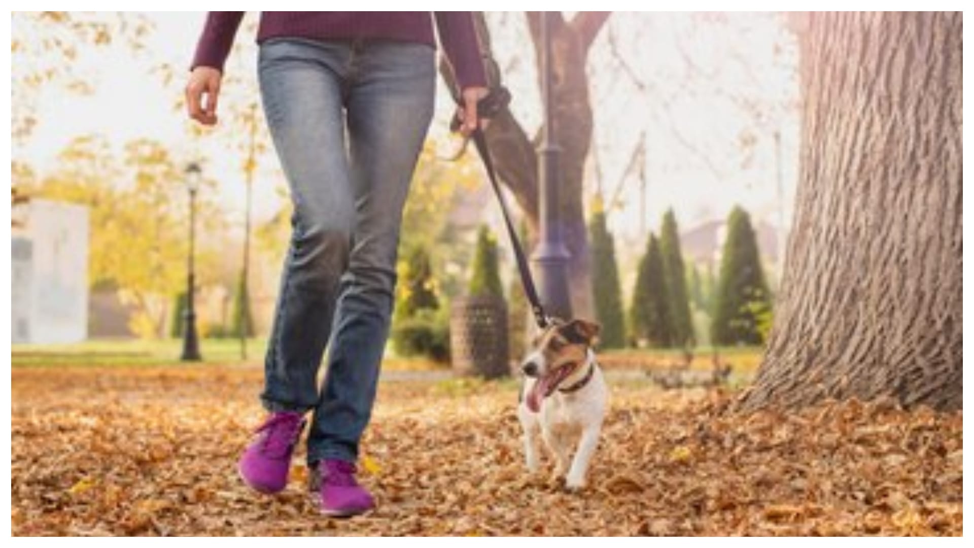 running or walking which is better for fat loss know best exercise for good health