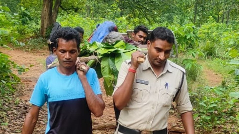 Bear attacked three villagers who went to collect wood in forest in Korba
