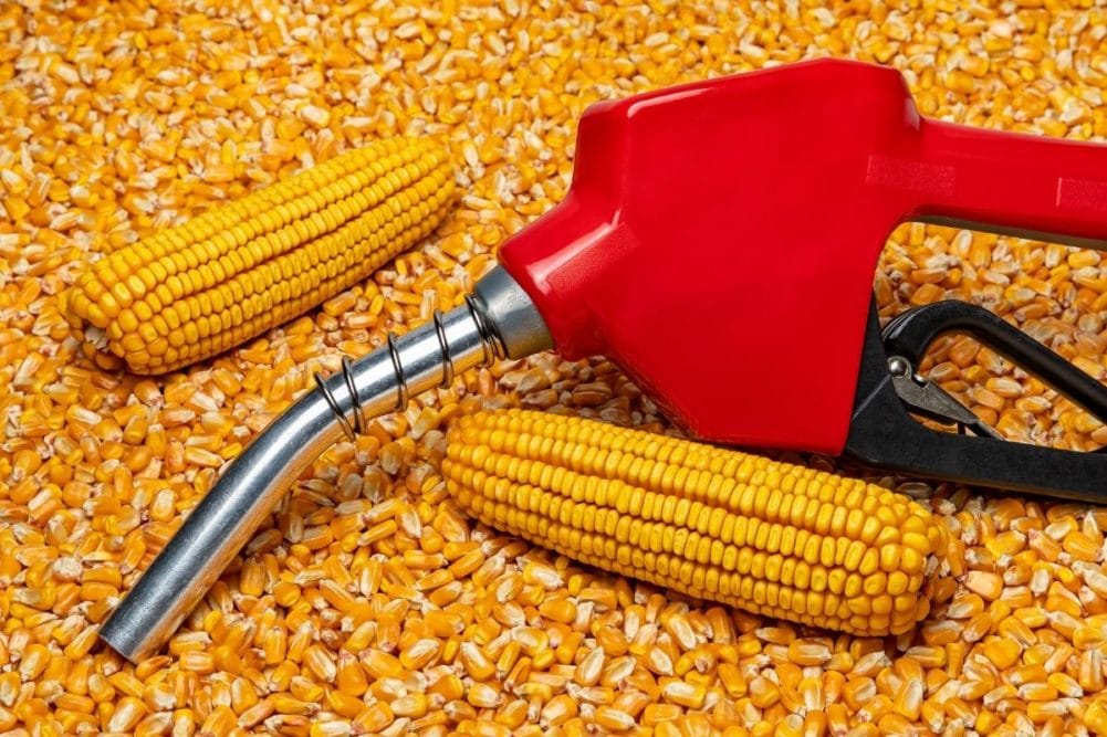 UP: Preparations to make ethanol from corn instead of sugarcane in the state, two rounds of talks have been he