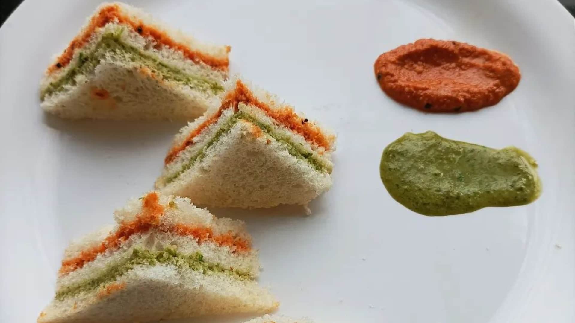 lunch pack idea for republic day picnic full details in hindi picnic lunch me kya banayein