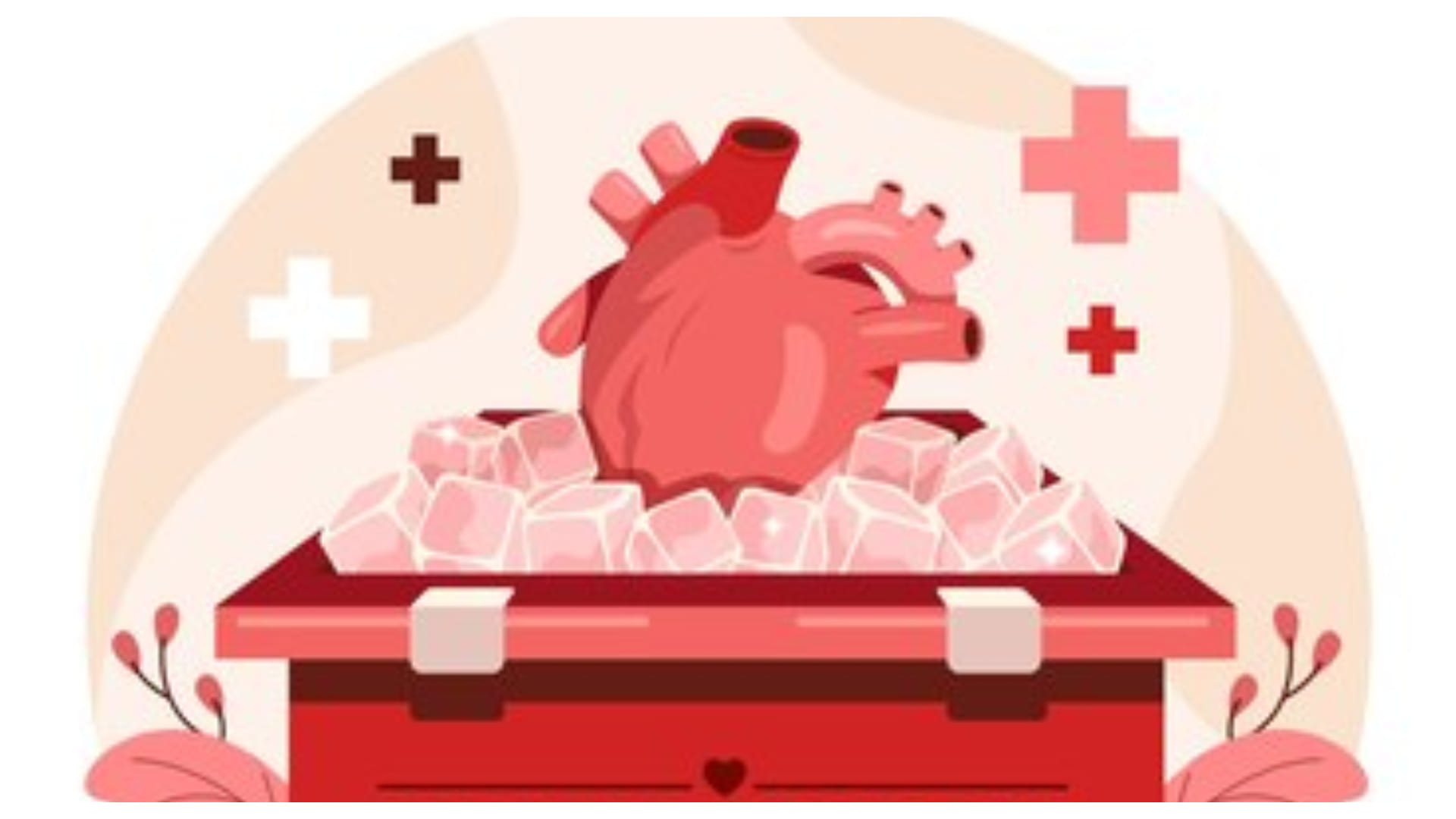 World Organ Donation Day 2024 know challenges of organ donation in india