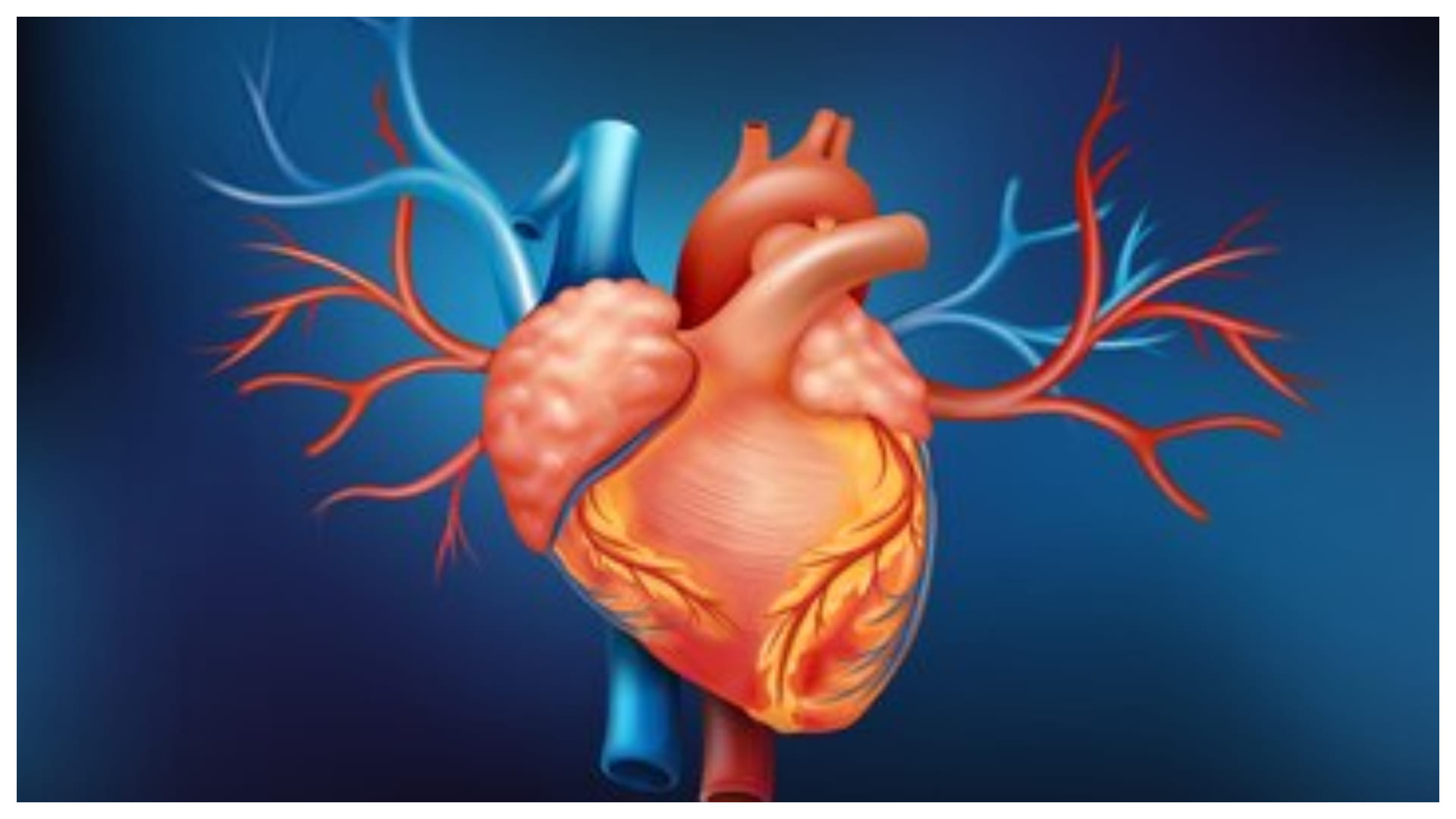 World Organ Donation Day 2024 know challenges of organ donation in india