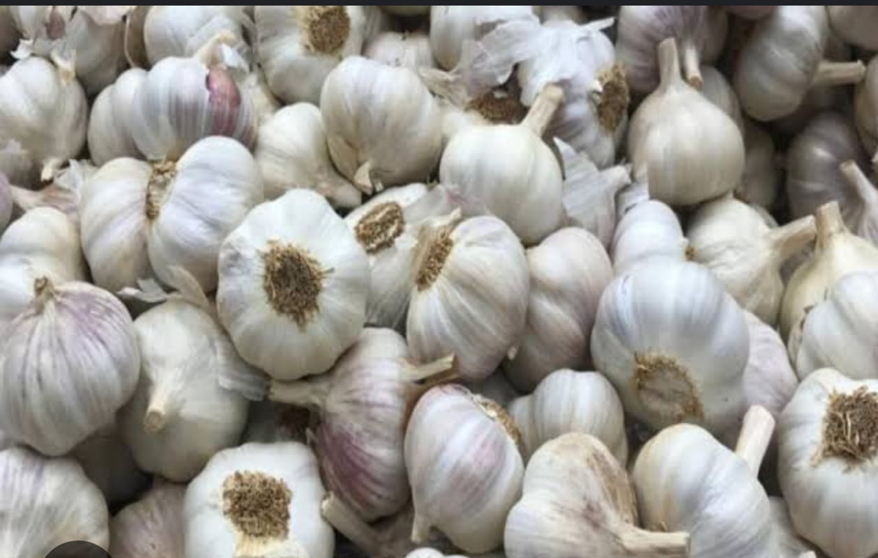 how to keep arteries clean garlic good for blood circulation and blood pressure