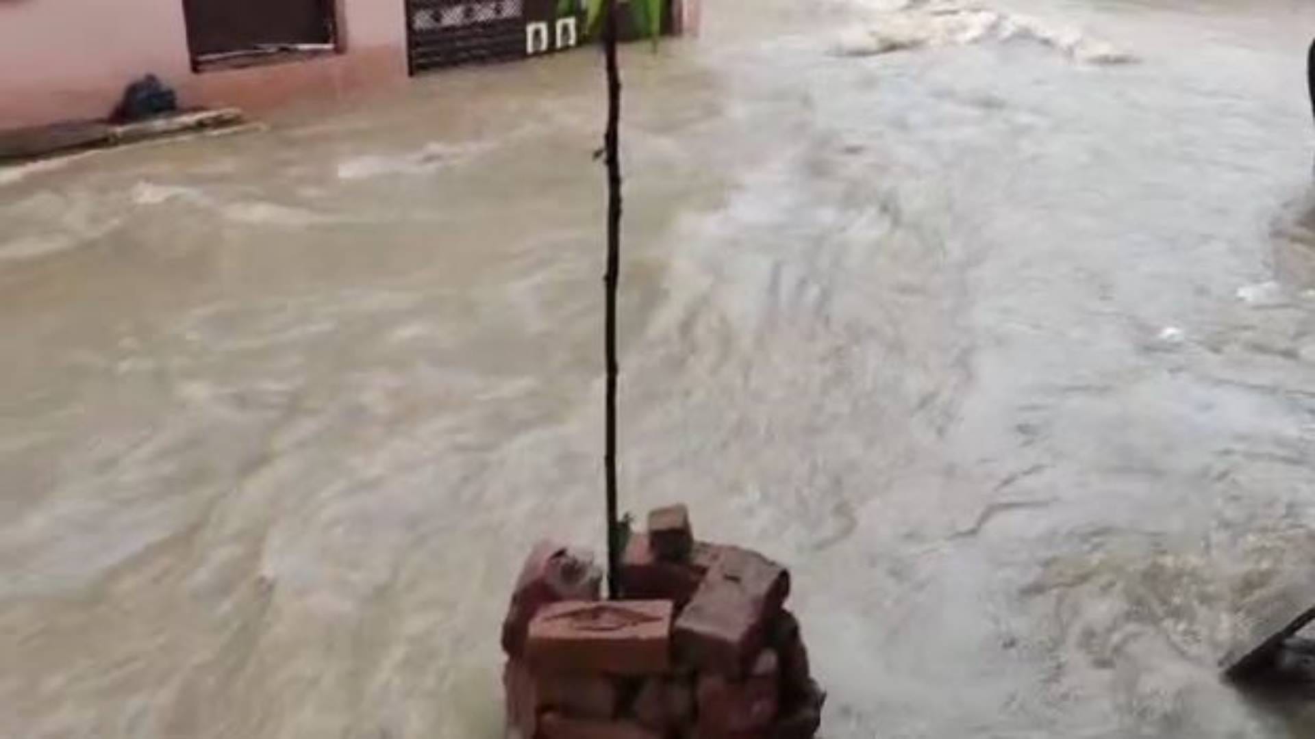Flood-like situation in Namo Nagar of Shivpuri many colonies submerged See In pictures
