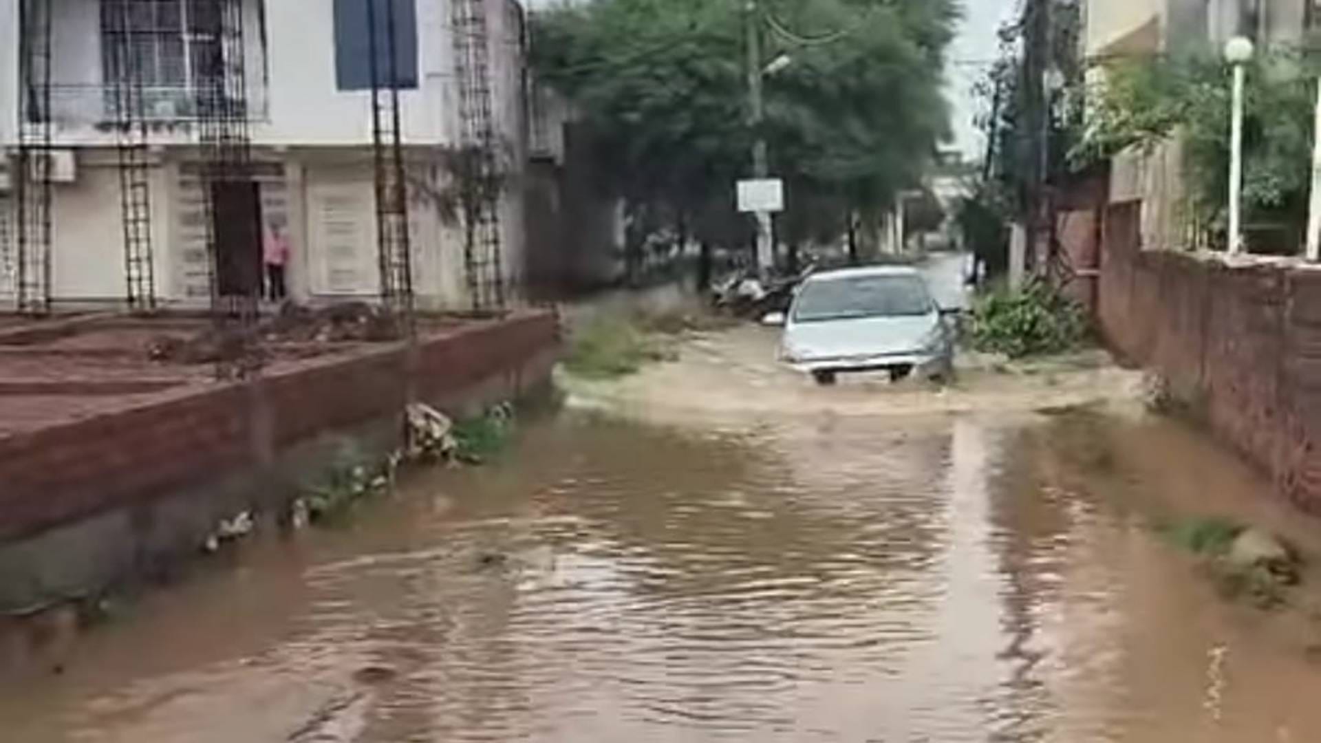 Flood-like situation in Namo Nagar of Shivpuri many colonies submerged See In pictures