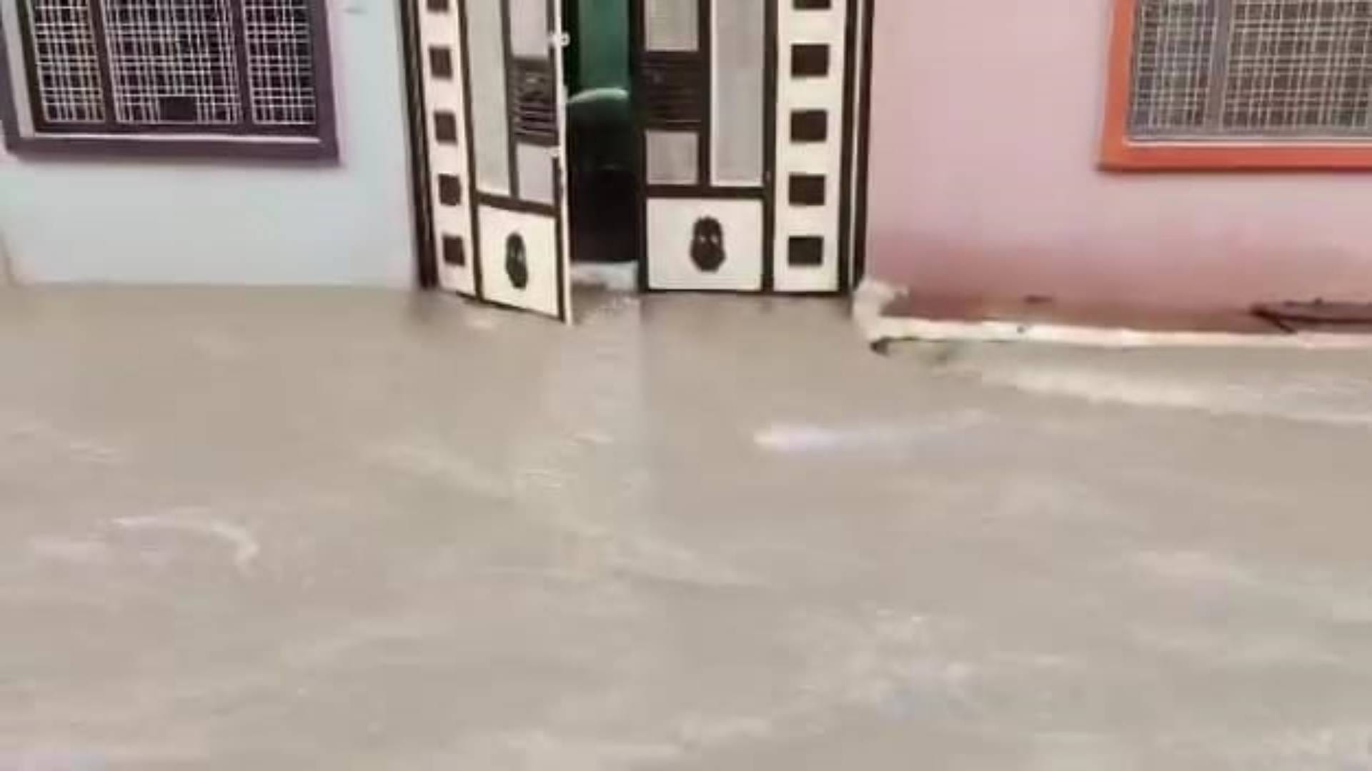 Flood-like situation in Namo Nagar of Shivpuri many colonies submerged See In pictures
