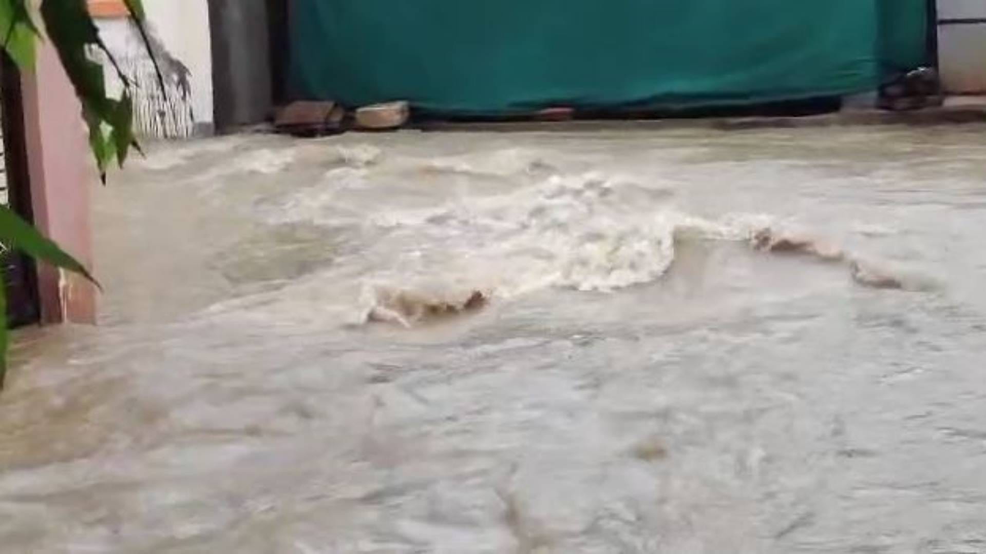 Flood-like situation in Namo Nagar of Shivpuri many colonies submerged See In pictures