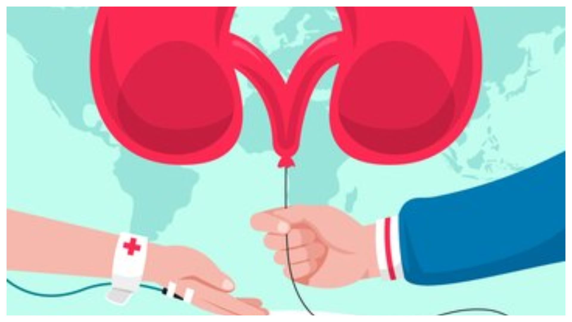 World Organ Donation Day 2024 know challenges of organ donation in india