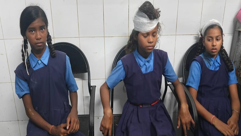 Students injured due to collapse of school roof admitted to district hospital in Janjgir Champa