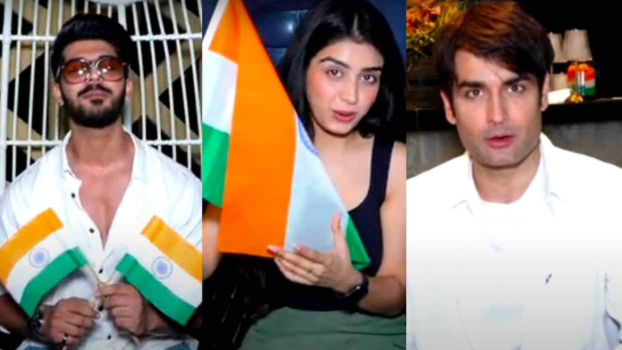 Independence Day 2024 Vivian Dsena Celesti Bairagey Rinku dhawan Sheezan Khan celebration plan of 15th august