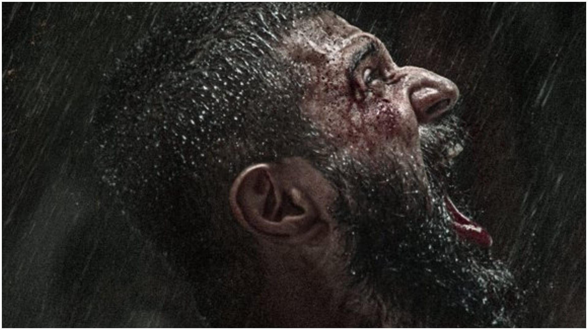 A lot of action will be seen in upcoming south movies Viduthalai Part 2 VD 14 KD The Devil Saripodha Sanivaram